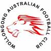 Wollongong Lions Football Club
