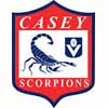 Casey Scorpions Football Club