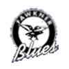 Fawkner Blues FC